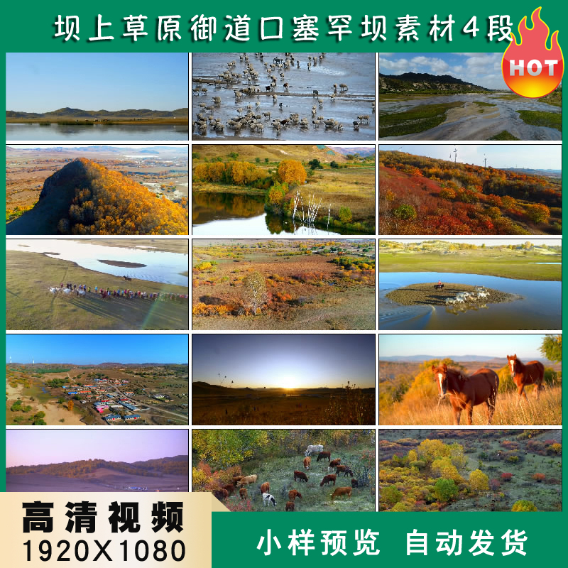 坝上草原御道口牧场秋色塞罕坝奔马场高清实拍视频素材