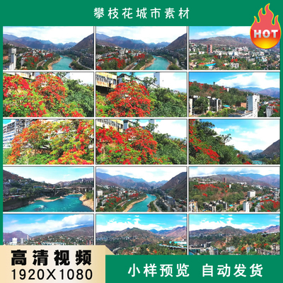 攀枝花城市木棉花金沙江旅游航拍高清实拍视频素材