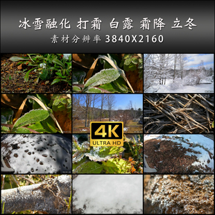 冰雪融化 打霜 白露 霜降 立冬 节气 4K 高清 实拍 视频 素材