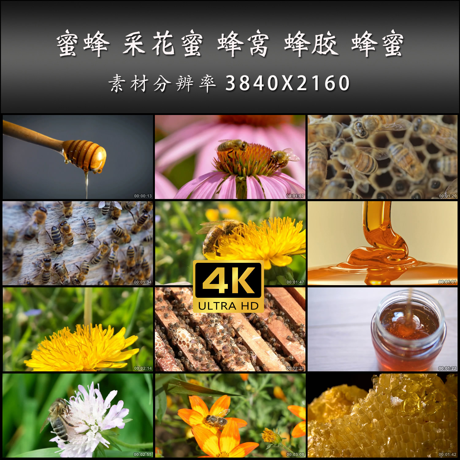 蜜蜂 采花蜜 蜂窝 蜂胶 蜜糖 蜂蜜流动 高清 实拍 4K 视频素材