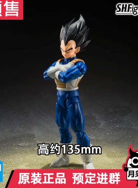 定金 月枭 万代 SHF 龙珠 贝吉塔 比达 Z战士 可动成品