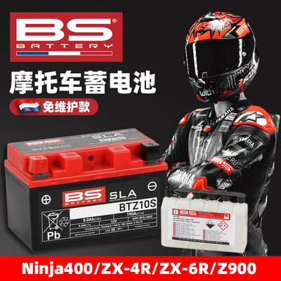 法国进口大功率免维护自放电率低