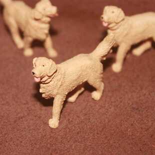 金毛狗 金毛犬 safari 仿真农场动物模型玩具迷你场景摆件
