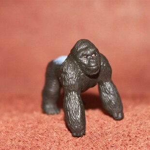 黑猩猩 野生动物 safari 仿真动物模型玩具