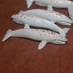 摆件 灰鲸 safari 仿真海洋鲨鱼动物模型玩具