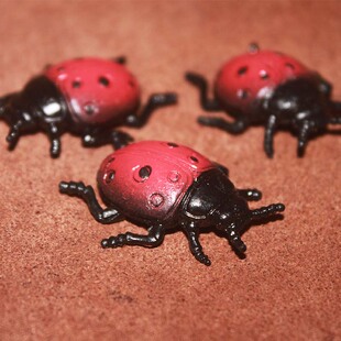 safari 七星飘虫 仿真昆虫模型玩具场景摆件