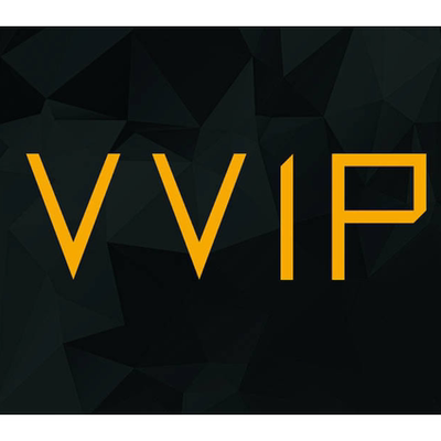 本店VVIP 服务端【本单不可退换确认再购买】