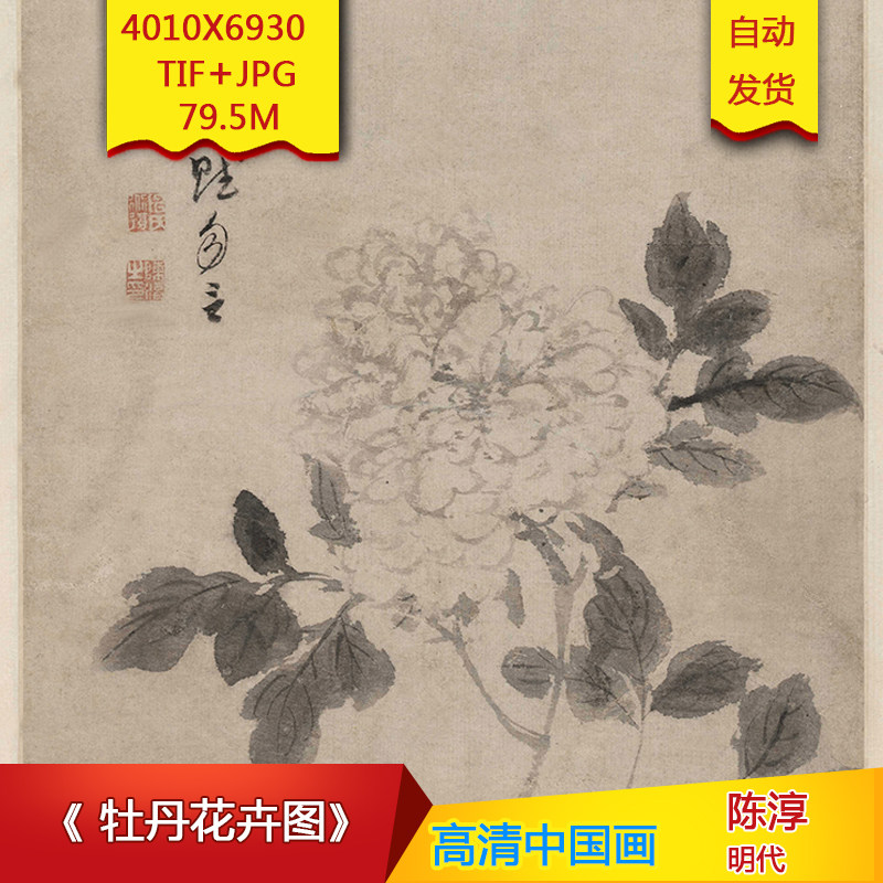 《牡丹花卉图》明代陈淳作品高清国画电子图片装饰画素材