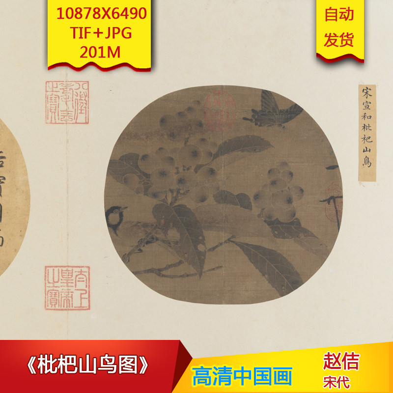 《枇杷山鸟图》宋代赵佶高清国画电子版古画装饰画芯高清国画素材