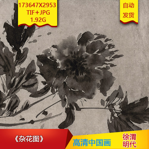 《杂花图》明代徐渭作品高清国画电子图片装饰画芯素材