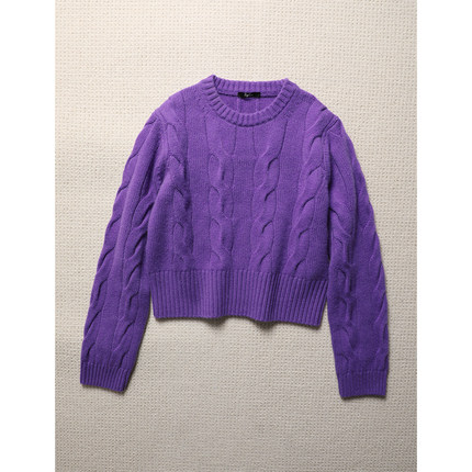 TANG TOWN自制 高克重加厚软糯 全羊绒立体绞花短箱型毛衣/针织衫