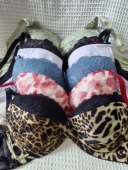 70F日韩内衣文胸有无钢圈聚拢刺绣蕾丝多扣无插垫杂款 大码