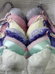 大码34/75D（M）日韩内衣文胸有钢圈聚拢刺绣蕾丝多扣无插垫杂款