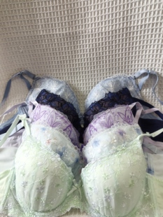 75D日韩内衣文胸有无钢圈聚拢刺绣蕾丝多扣无插垫杂款 大码