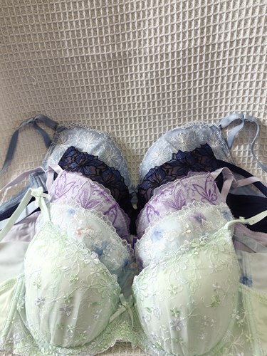 大码34/75D日韩内衣文胸有无钢圈聚拢刺绣蕾丝多扣无插垫杂款