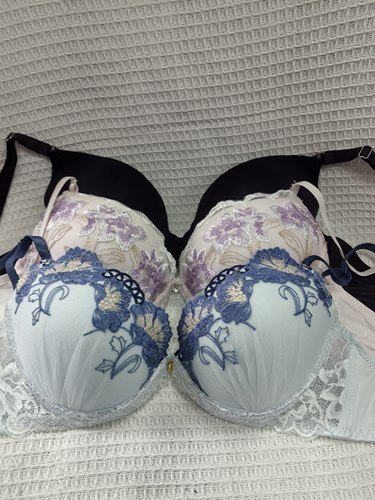 大码34/75E日韩内衣文胸钢圈聚拢刺绣蕾丝多扣无插垫杂款