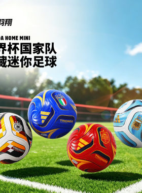 Adidas阿迪达斯世界杯1号足球西班牙德国队收藏款意大利阿根廷队