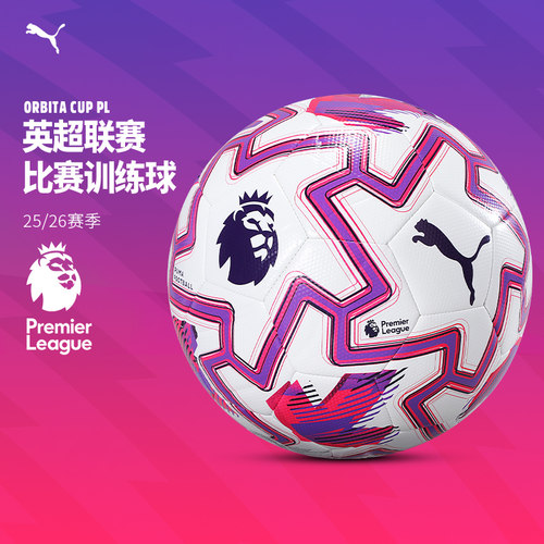 彪马英超足球正品 PUMA比赛训练成人5号4号儿童中考小学生专用球