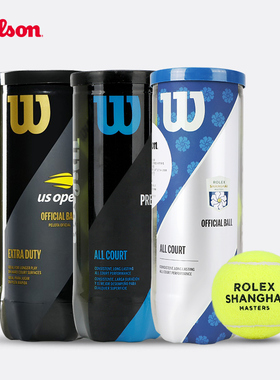 Wilson威尔胜网球us open美网法网专用比赛训练用球tour高级网球