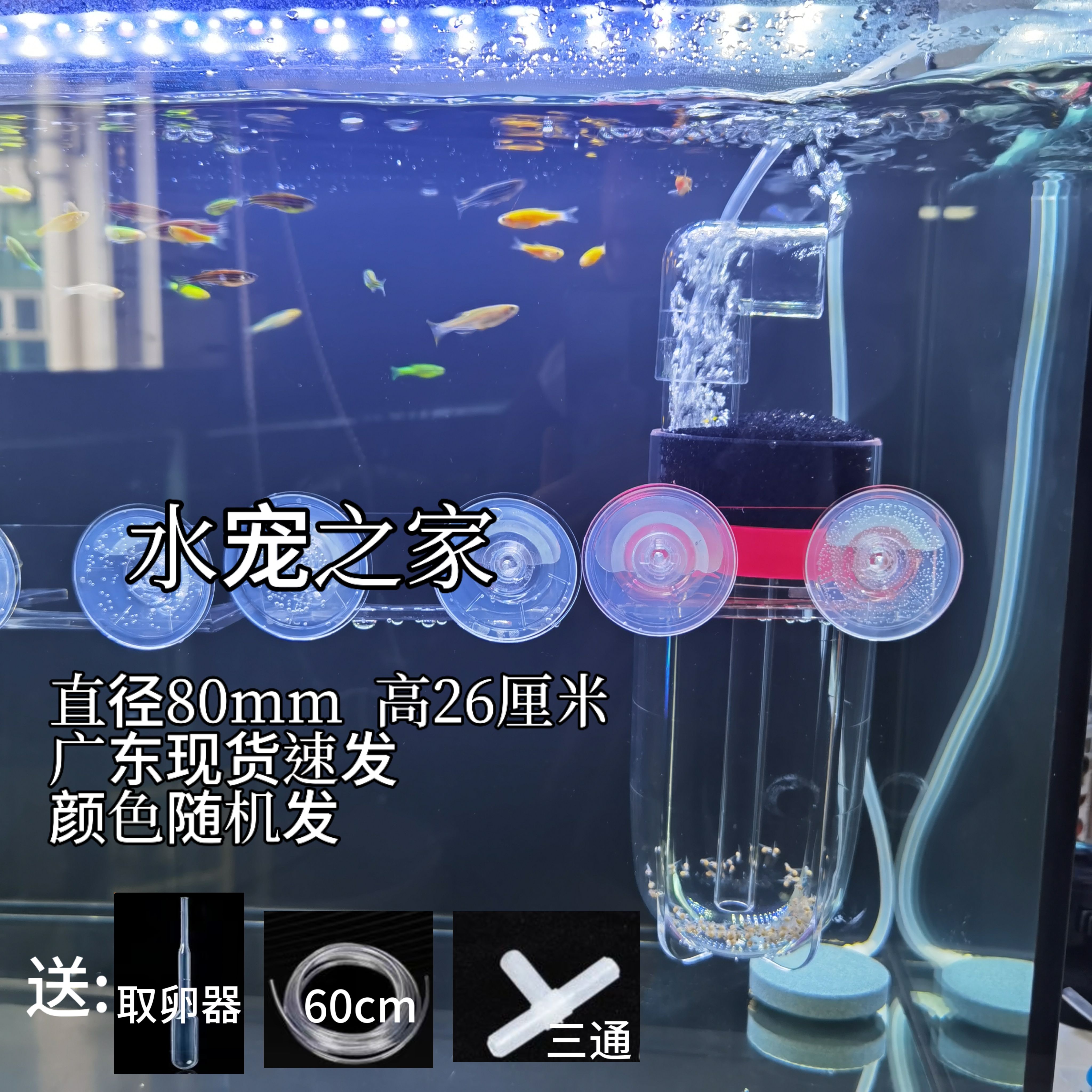 80MM高款鱼卵孵化器三湖慈鲷鱼异型底栖热带观赏鱼孵化桶繁殖现货