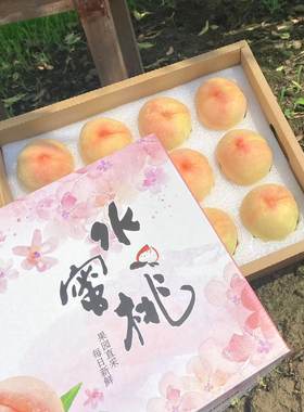 正宗无锡阳山水蜜桃现摘现发白凤湖景水果新鲜特产软桃撕皮礼盒装