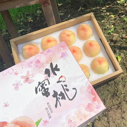正宗无锡阳山水蜜桃现摘现发白凤湖景水果新鲜特产软桃撕皮礼盒装
