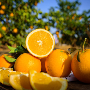 老姐家赣南脐橙 正宗信丰安西脐橙 自家果园现摘直发20斤精品大果