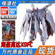 海盗高达X0 METAL X0FC CBGD BANDAI 万代 BUILD 骷髅 全武装