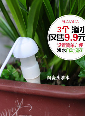 新品办公室虹吸自动渗水器浇花器