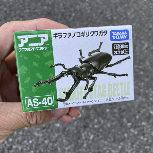 安利亚仿真昆虫玩具as40假虫有点吓人甲壳虫长颈龙锯锹tomy昆虫