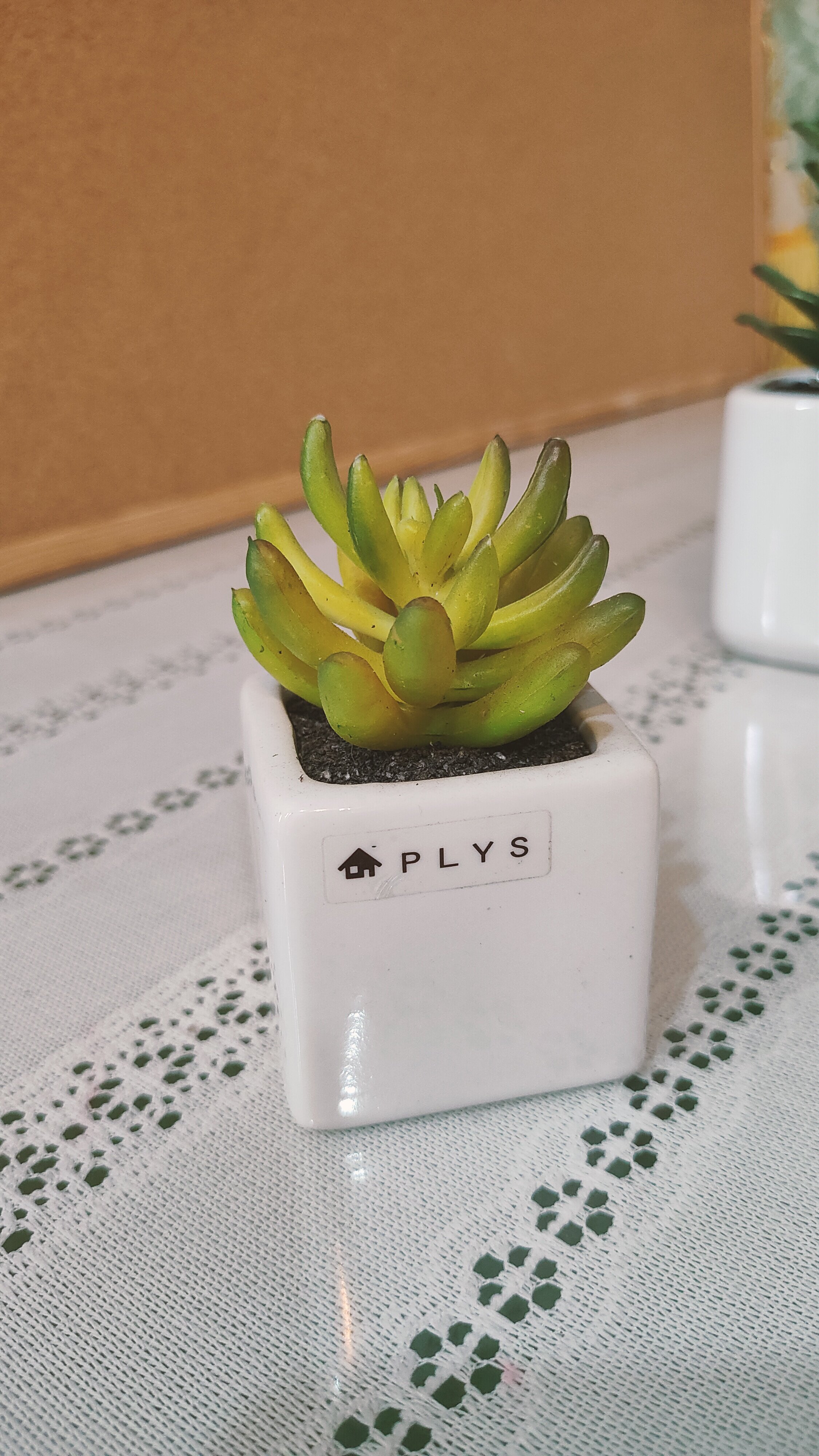 仿真仙人指多肉塑料植物盆栽桌面摆件仿生绿植多肉小盆景