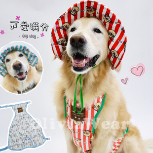扮保暖 印花狗狗渔夫帽防着凉纯棉肚兜宠物装 可爱到爆炸 原创新品