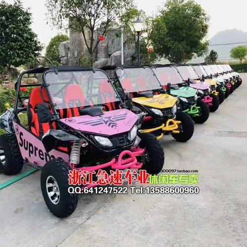 四轮越野卡丁车燃油成年双人