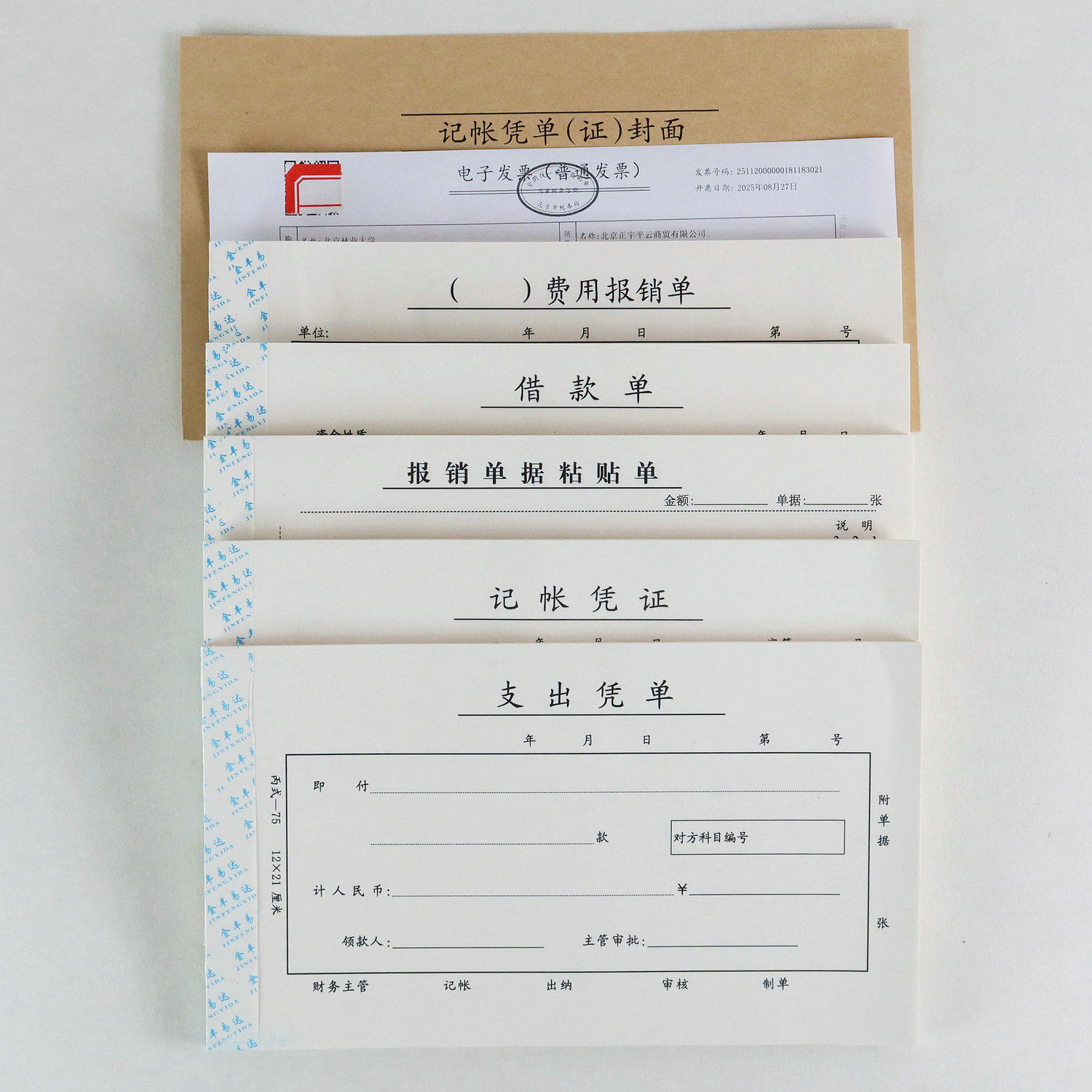 支出凭证单标准款支出报销单支出单凭证支款凭证支款单支出凭单