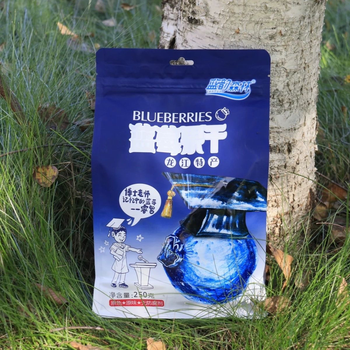 蓝莓干伊春蓝莓果干小兴安岭蓝梅东北蓝莓果脯蜜饯零食250g