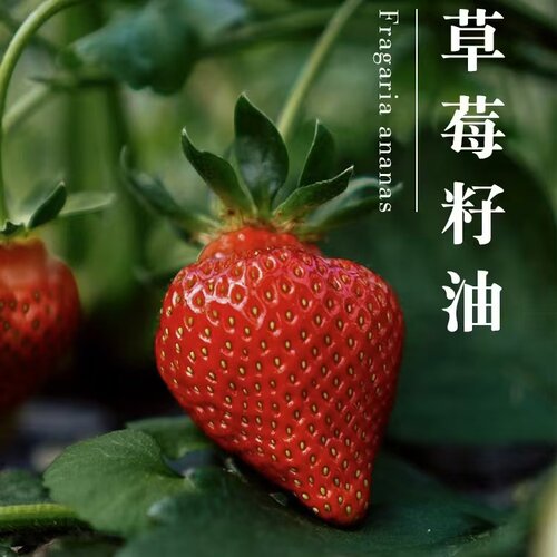 初榨冷压草莓籽油香皂香薰精油皂