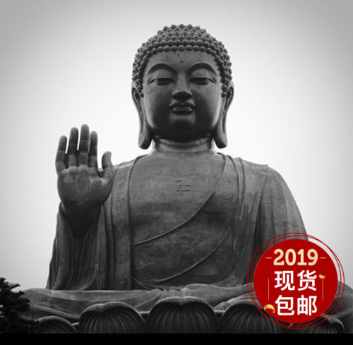 给妞的专拍
