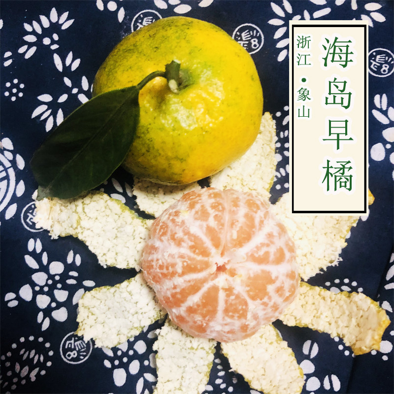 象山特产海岛柑橘新鲜无籽早橘果园现摘当天发货五斤装江浙沪包邮