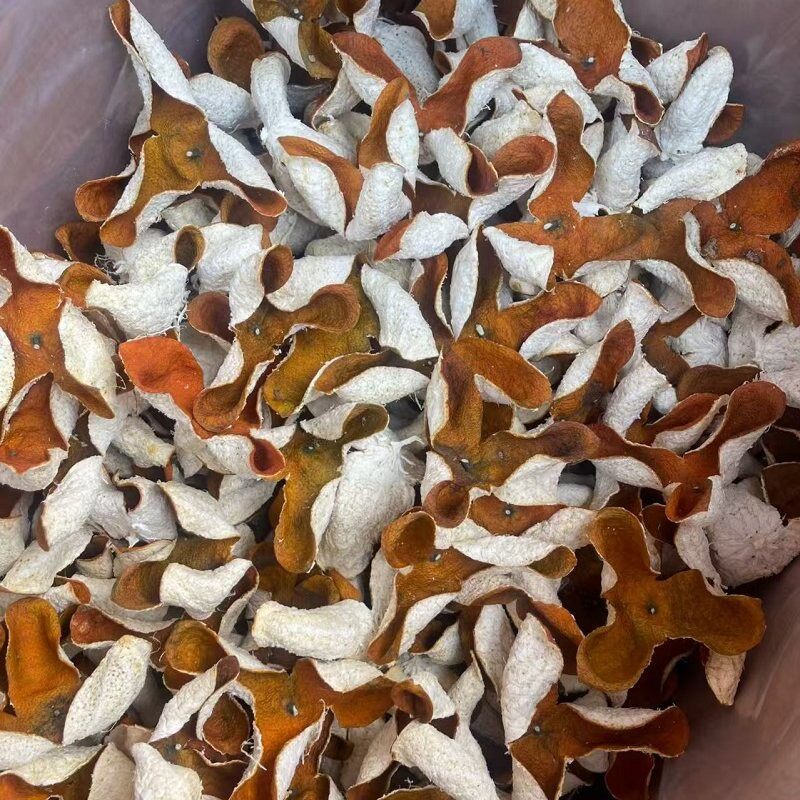 正宗广东35年老树茶枝柑大红皮陈皮