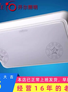 开尔LED吸顶灯 超簿迷你型 方形圆形长方 厨卫灯 8W 12W 16W塑扣