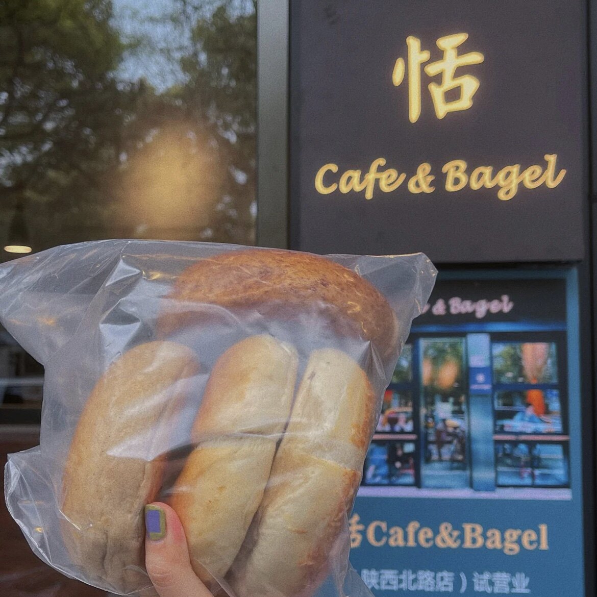 上海代购 恬贝果bagel全麦黑麦蔓越莓芝士碱水罗勒