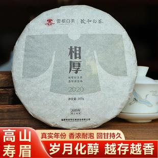 2020年政和白茶相厚高山寿眉紧压茶饼福建茶叶自饮装伴手礼口粮茶