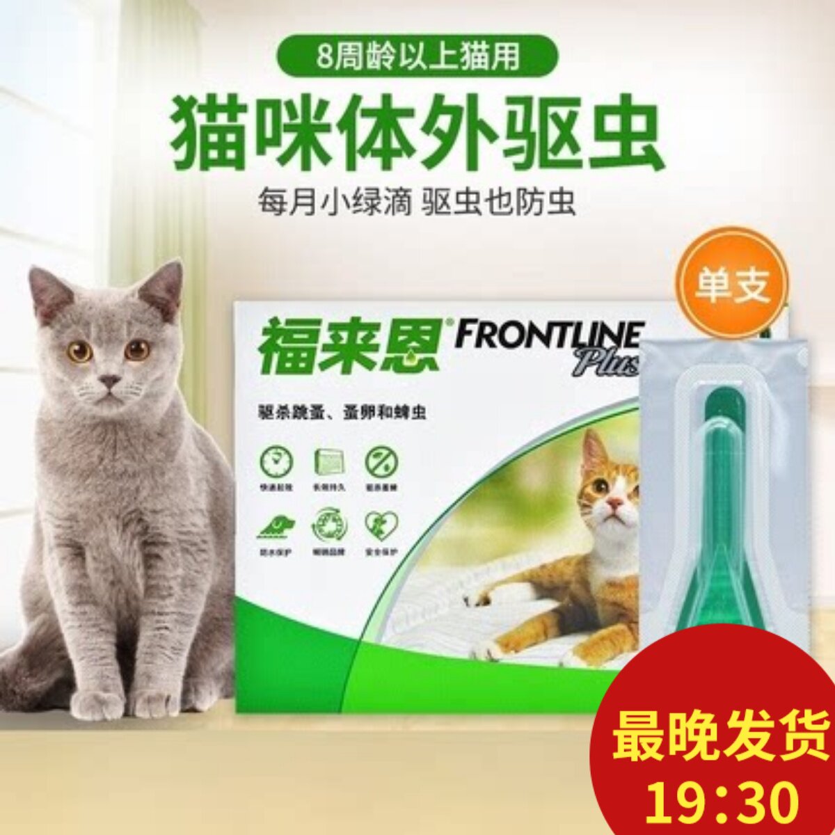 法国福来恩宠物除跳骚去蜱虫猫用体外驱虫药滴剂0.5ml猫咪驱虫药