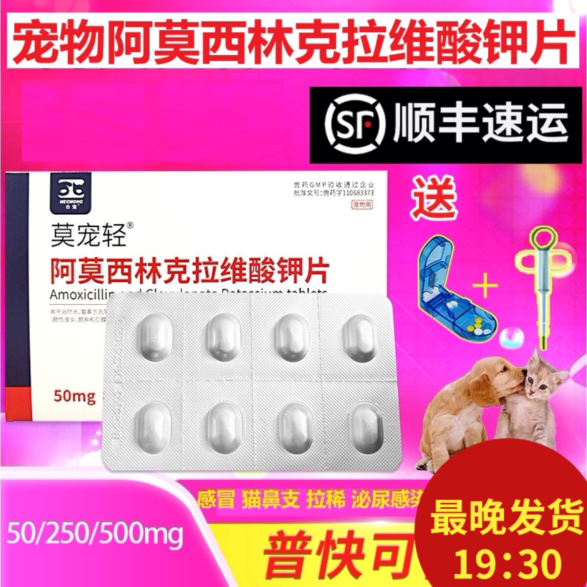 阿莫西林克拉维酸钾片猫宠物猫咪感冒药消炎药狗狗阿莫西林猫用