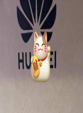 华为 OSN9800 TNS7N404全新