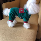 狗狗衣服冬四脚泰迪衣服冬款 加绒双层全棉不倒绒狗衣服比熊加绒