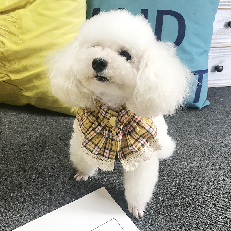 宠物三角巾雷丝边格子小围脖狗狗猫咪小围脖泰迪比熊饰品,宠物/宠物食品及用品,其它服饰配件,淘宝优惠券,粉丝福利购,淘宝优惠卷