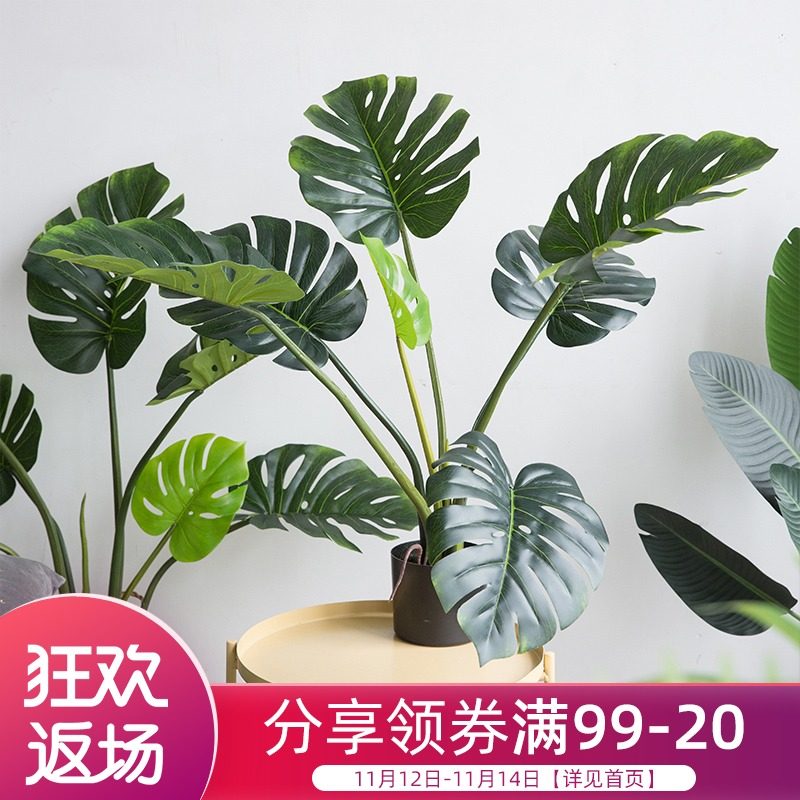 Nordic More The Nordic countries ins simulation Botany Turtle leaves large decorate Decoration to ground Potted plantin the Home accessories , Vase/Flower/Artificial flowers/Imitation jewelry , Bonsai plant simulation  category - from Buy2taobao.com to provide professional Taobao agent buy service