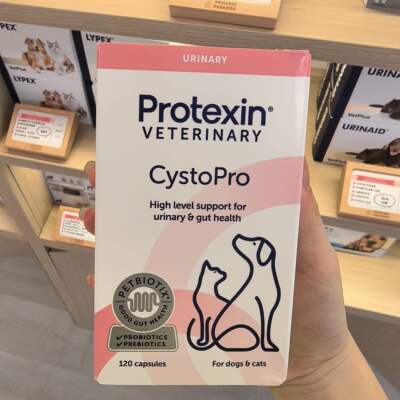 英国cystopro沙司多保犬猫泌尿痛利尿通结石尿频尿血感染膀胱炎