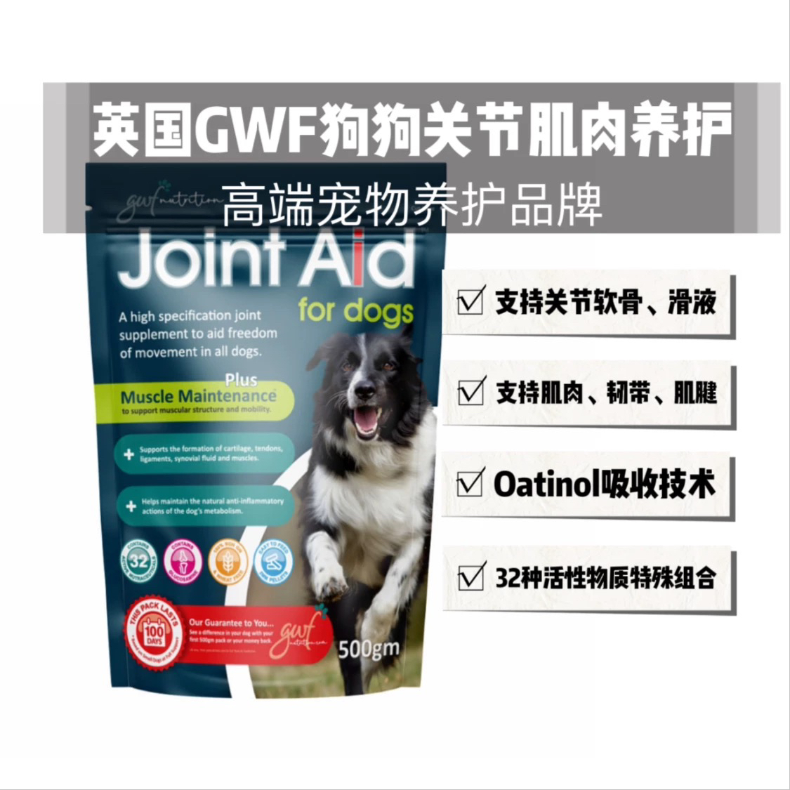 港购 GWF Nutrition  Joint 關節肌肉營養 維持肌肉新配方 500g 
